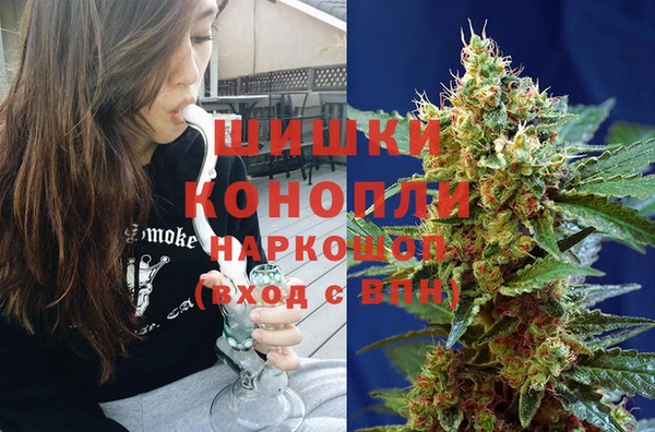 spice Алзамай
