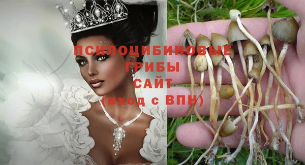 трава Абинск