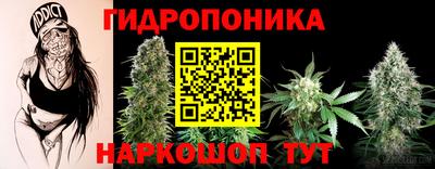 гидропоника Чапаевск