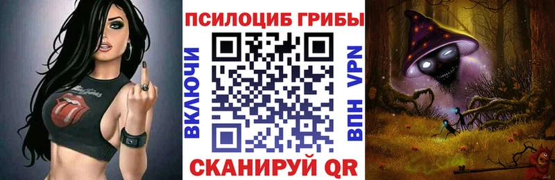 купить наркотик  даркнет как зайти  Псилоцибиновые грибы прущие грибы  Новочеркасск 