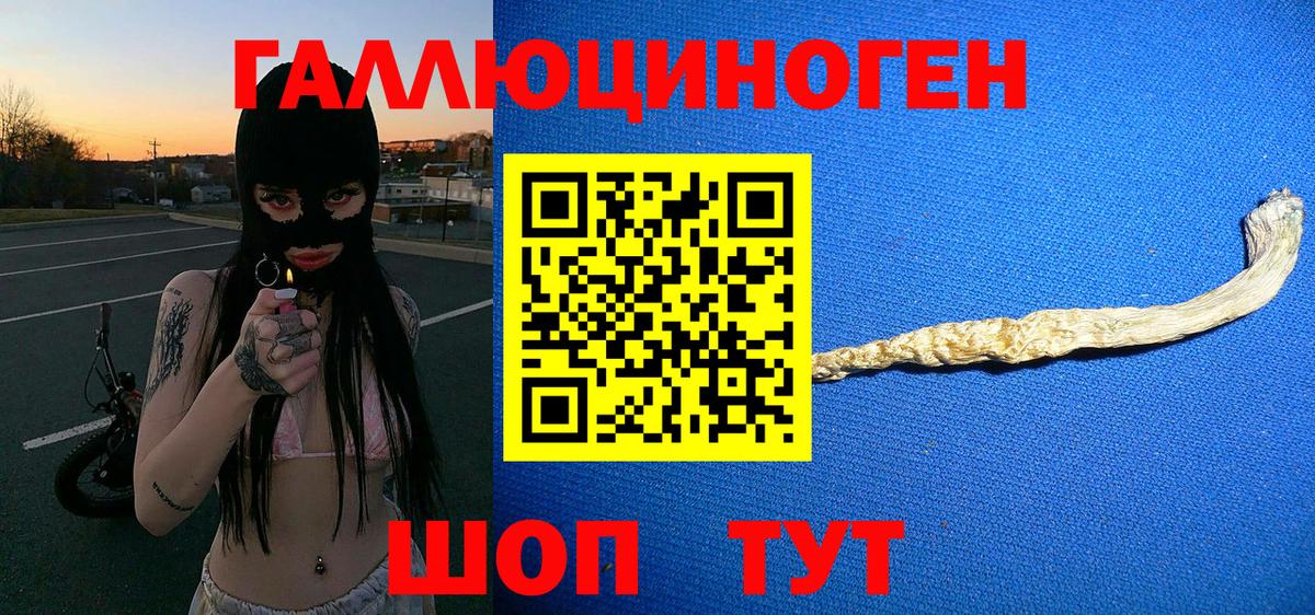купить  сайты  Вход с VPN  Новочеркасск  Галлюциногенные грибы MAGIC MUSHROOMS 
