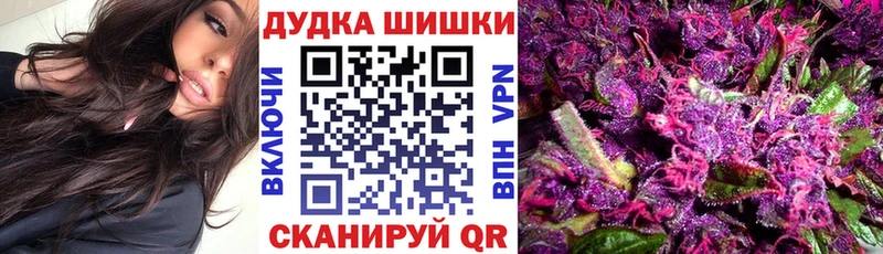 даркнет сайт  Новочеркасск  Бошки марихуана план 